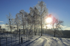 Winterlandschaft1